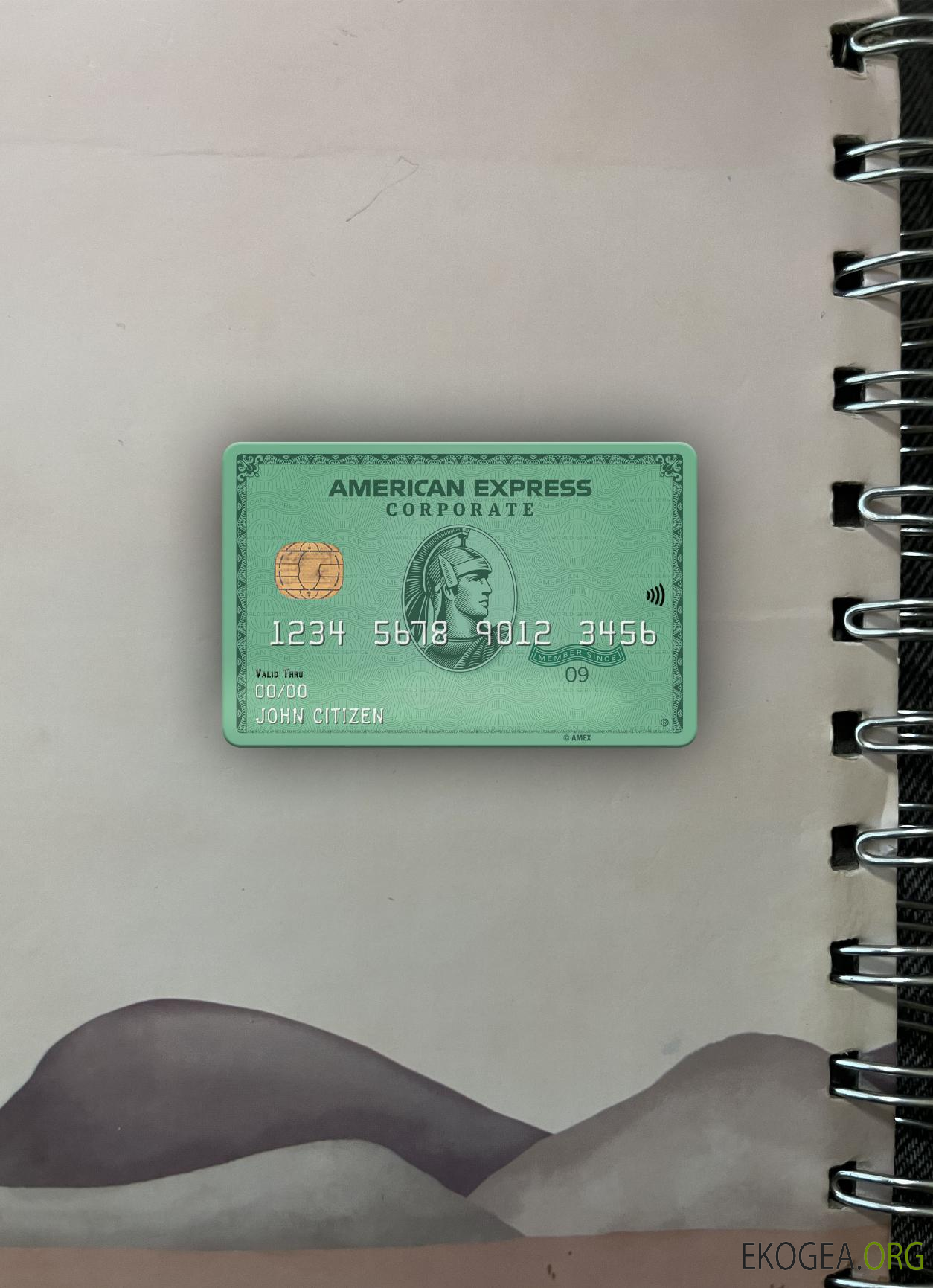 USA Heritage Bank AMEX carte verte avant photolook
